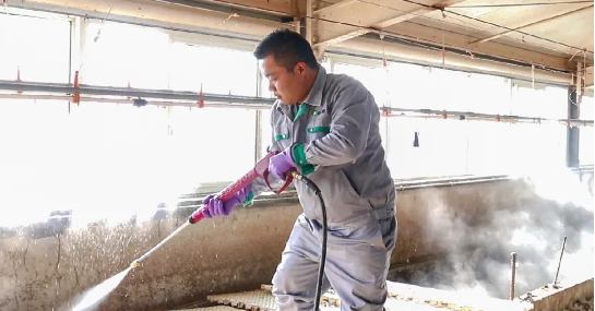 20201113/71d0a1c7bd45de68e3f7c949a284bc69.png 71d0a1c7bd45de68e3f7c949a284bc69.png