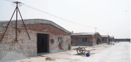 20201113/89815114b3cd6ff57ebb0ce2d4f433d8.png 89815114b3cd6ff57ebb0ce2d4f433d8.png