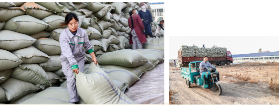 20201122/acaffaf47c1d437b69f36c01872878ab.png acaffaf47c1d437b69f36c01872878ab.png